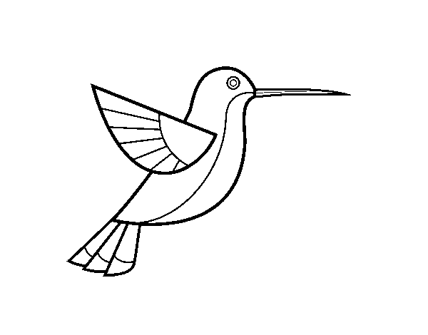 Desenho de Colibri para Colorir