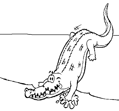 Desenho de Crocodilo a entrar na água para Colorir
