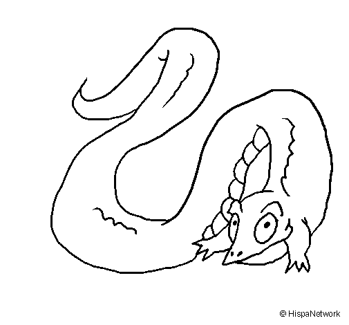 Desenho de Crocodilo com cauda grande para Colorir