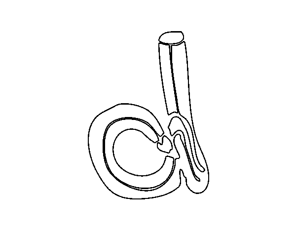 Desenho de D minúscula para Colorir