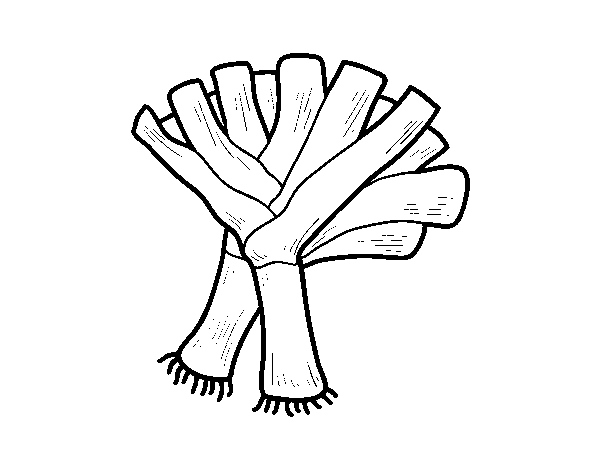 Desenho de Dois alho-poró para Colorir