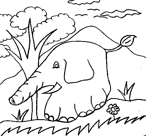 Desenho de Elefante 5 para Colorir