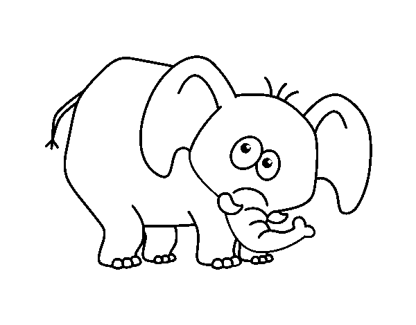 Desenho de Elefante envergonhado para Colorir