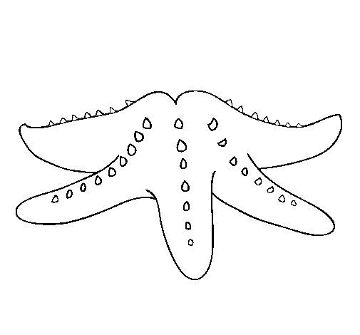 Desenho de Estrela do mar para Colorir