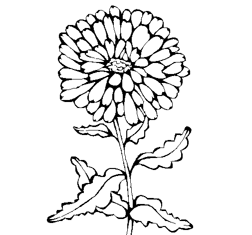 Desenho de Flor 3a para Colorir