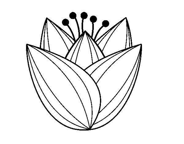 Desenho de Flor de túlipa para Colorir