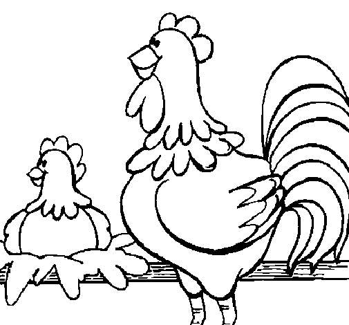 Desenho de Galo e galinha para Colorir