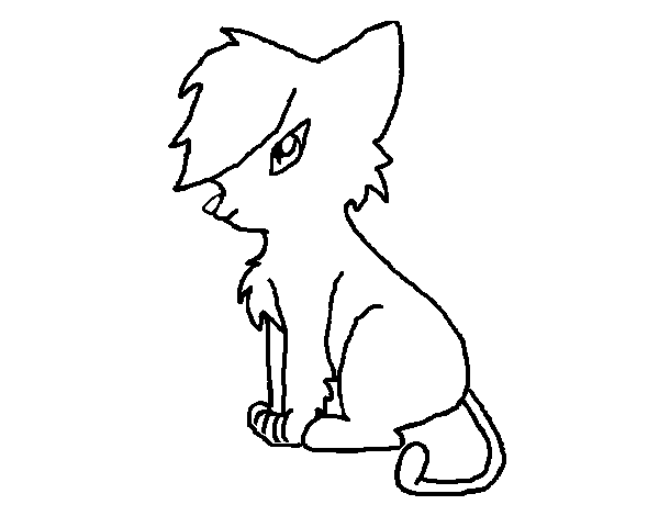 Desenho de Gato com franja II para Colorir