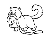 Desenho de Gato com salsicha para colorear