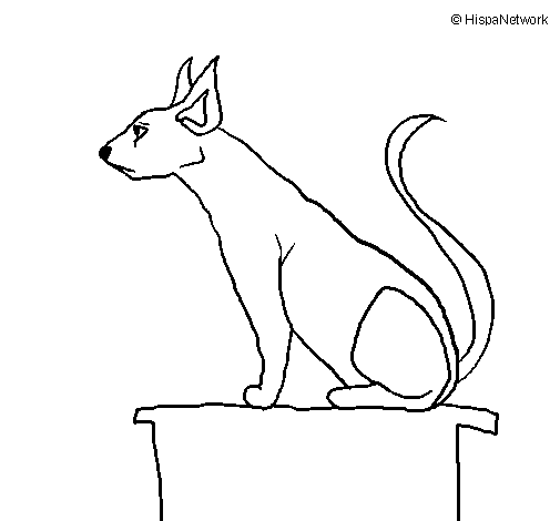 Desenho de Gato egípcio II para Colorir