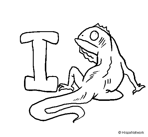 Desenho de Iguana para Colorir