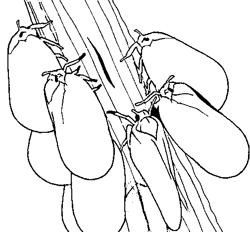 Desenho de Insectos num tronco para Colorir