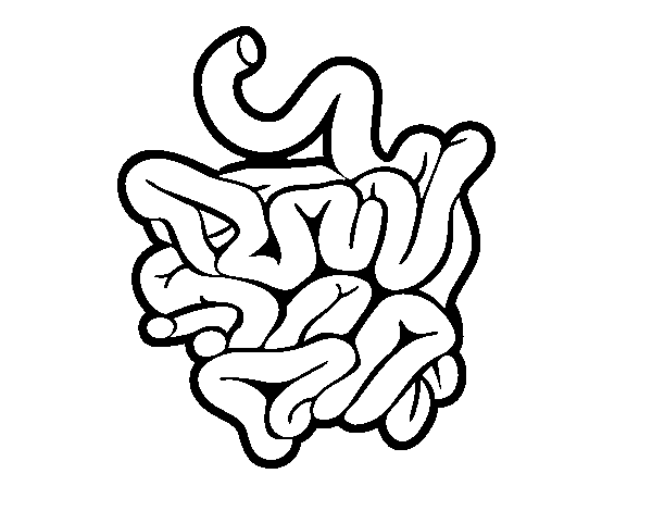 Desenho de Intestino delgado para Colorir