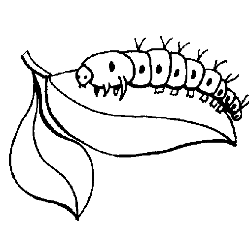 Desenho de Larva para Colorir