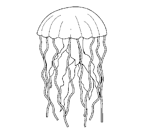 Desenho de Medusa para Colorir