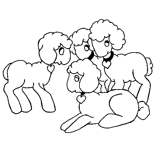 Desenho de Ovelhas para Colorir