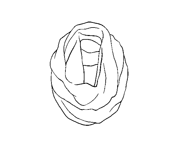 Desenho de Pano de pescoço para Colorir