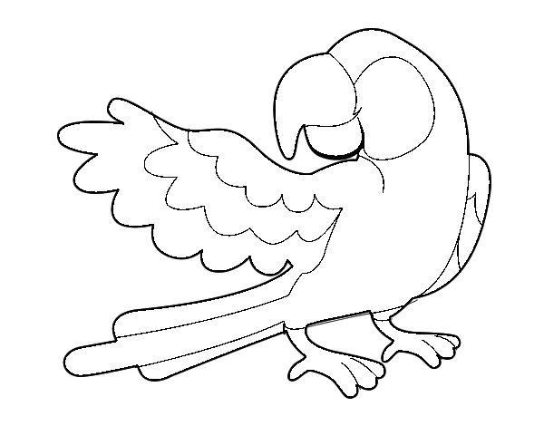 Desenho de Papagaio abrir a asa para Colorir