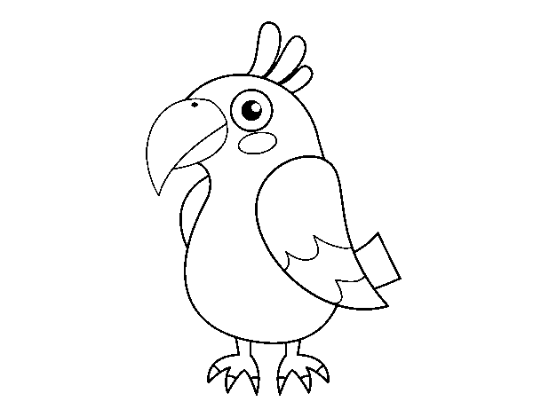 Desenho de Papagaio tropical para Colorir
