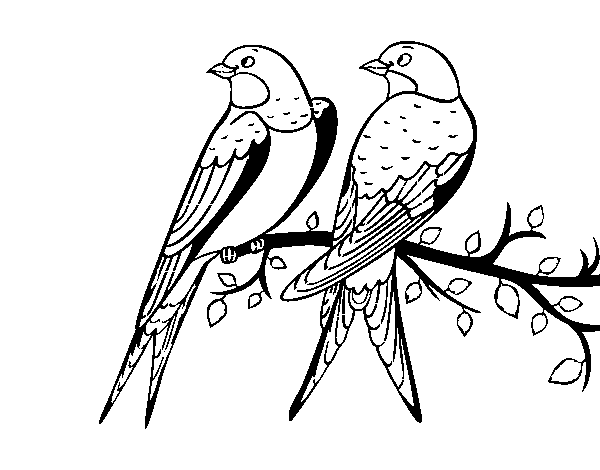 Desenho de Par de pássaros para Colorir