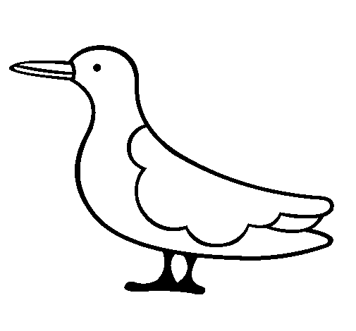 Desenho de Pássaro 3 para Colorir