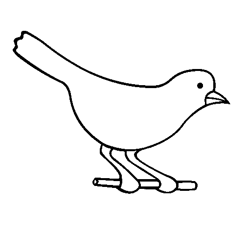 Desenho de Pássaro 4 para Colorir