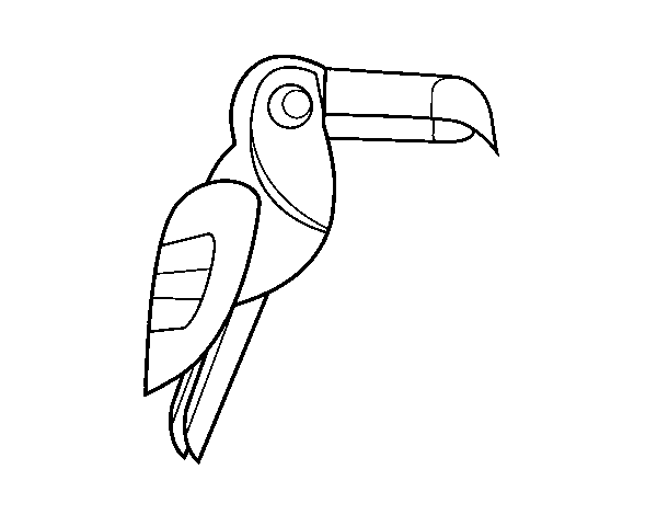 Desenho de Pássaro Tucano para Colorir