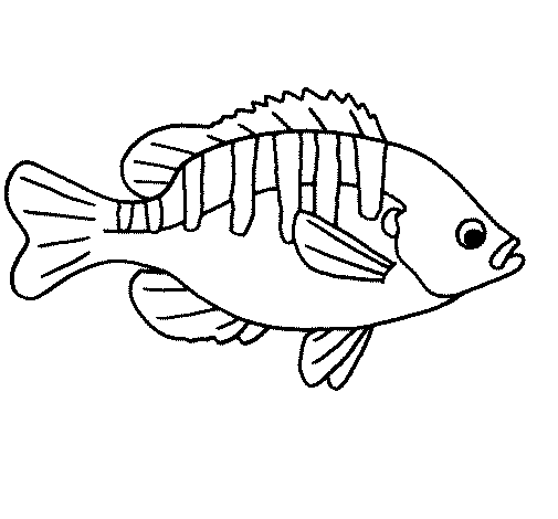 Desenho de Peixe 3a para Colorir