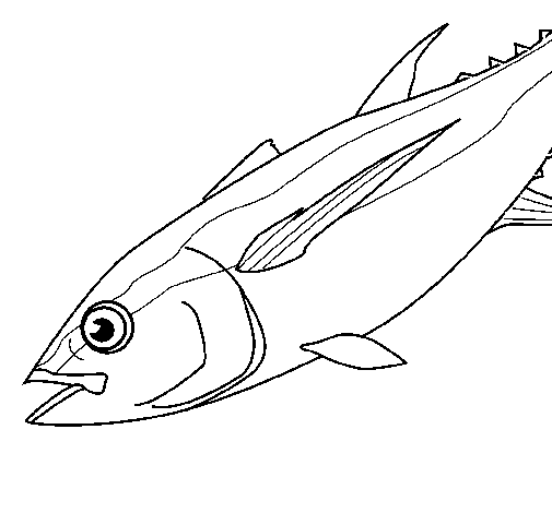 Desenho de Peixe 4a para Colorir