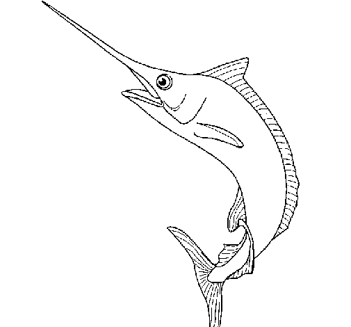 Desenho de Peixe-espada para Colorir