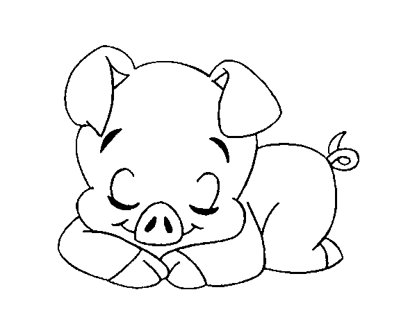 Desenho de Porco pequeno a dormir para Colorir