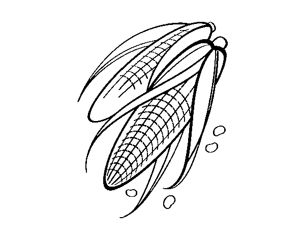 Desenho de Sabugo de milho para Colorir