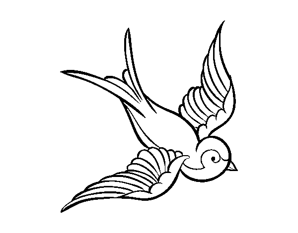Desenho de Tatuagem de pássaro para Colorir