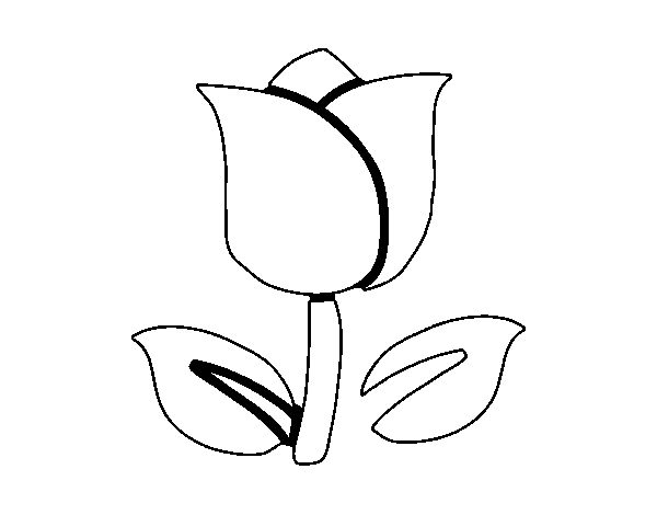 Desenho de Tulipán para Colorir