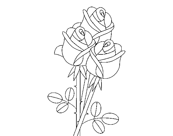 Desenho de Um buquê de rosas para Colorir