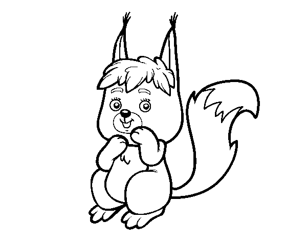 Desenho de Um pequeno esquilo para Colorir