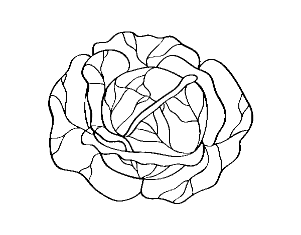 Desenho de Um repolho para Colorir