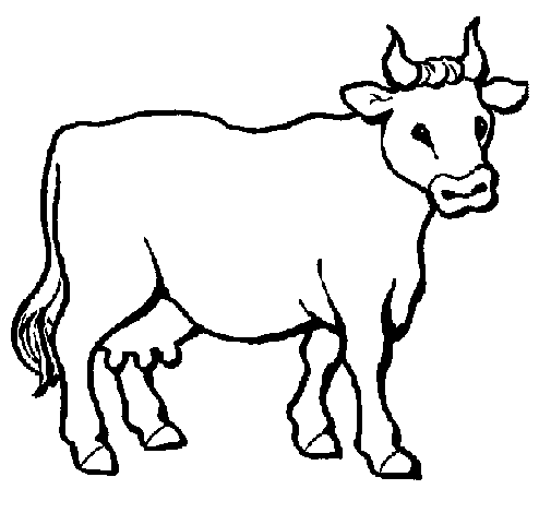 Desenho de Vaca 3 para Colorir