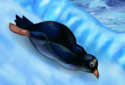 Jogar a Pinguim doce da categoria Jogos de habilidade