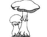 Desenho Cogumelos pintado por piupiu