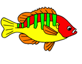 Desenho Peixe pintado por pipa