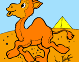 Desenho Camelo pintado por roberto