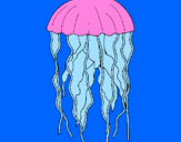 Desenho Medusa pintado por guilherme a. l. nery