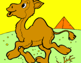 Desenho Camelo pintado por vitoria bruna