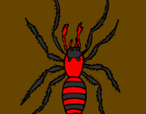 Desenho Aranha tigre pintado por aranha venenosa