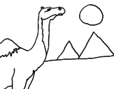 Desenho Camelo pintado por maria