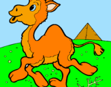 Desenho Camelo pintado por aline ferri