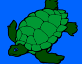 Desenho Tartaruga pintado por samuel