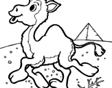 Desenho Camelo pintado por ovelha