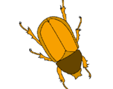 Desenho Escaravelho pintado por Passarinho